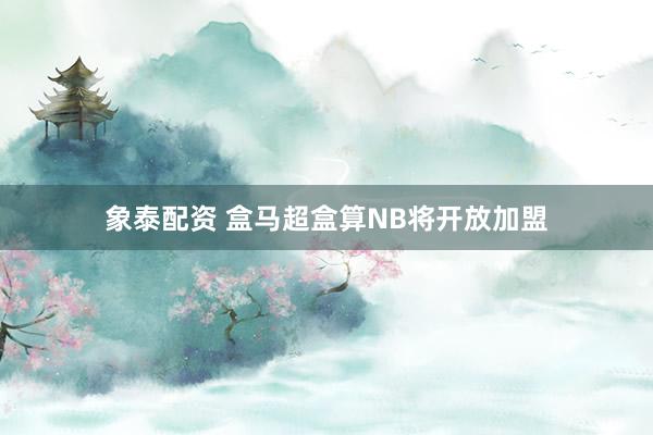 象泰配资 盒马超盒算NB将开放加盟