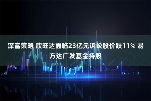 深富策略 欣旺达面临23亿元诉讼股价跌11% 易方达广发基金持股