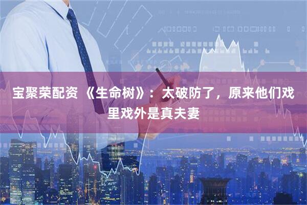 宝聚荣配资 《生命树》：太破防了，原来他们戏里戏外是真夫妻